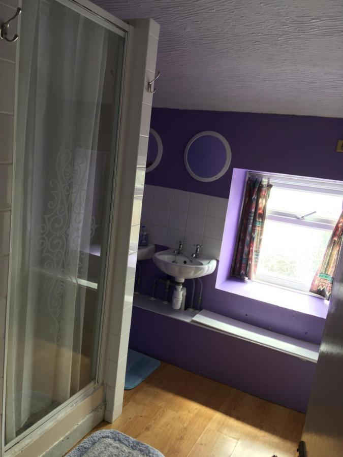 Pantyrathro International Hostel Carmarthen Zewnętrze zdjęcie